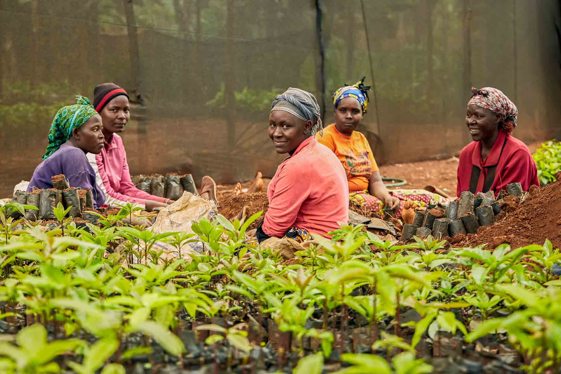 4-Image-close-up-2-Farmers_Kenya