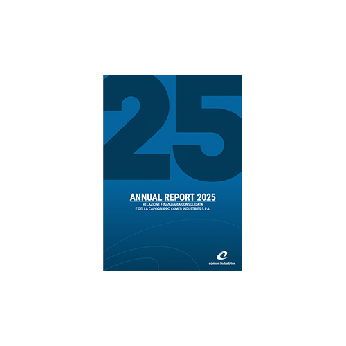 AnnualReport-2025
