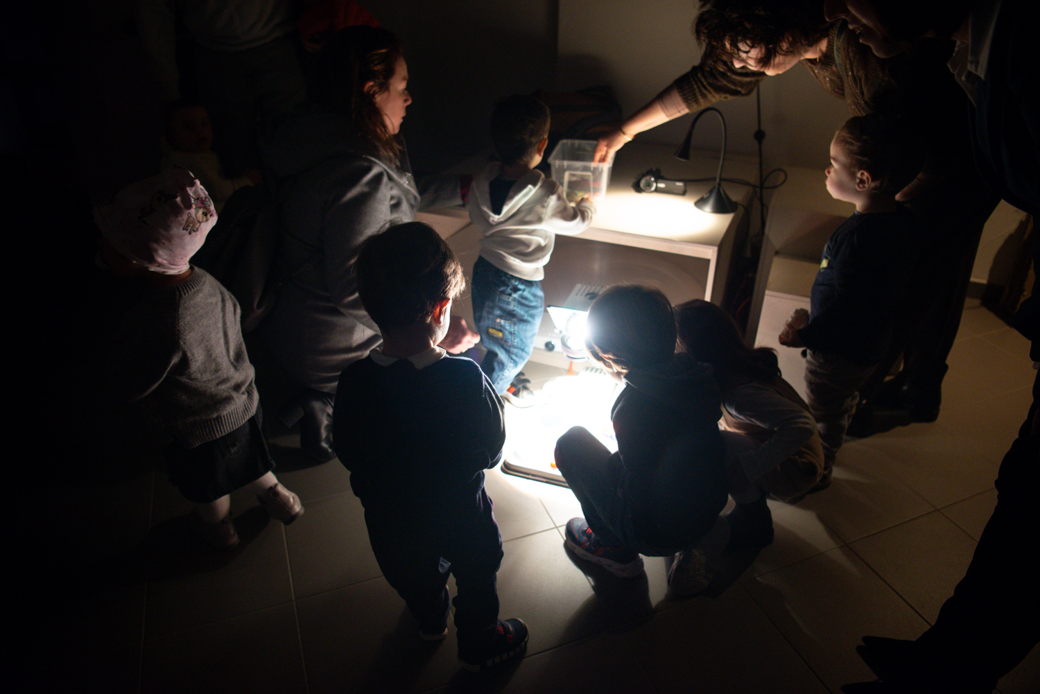 003_DSC_3674-69257559af38a